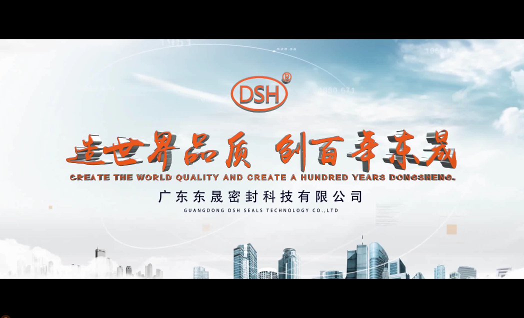 東晟密封公司（dsh）展示實力的企業(yè)宣傳片