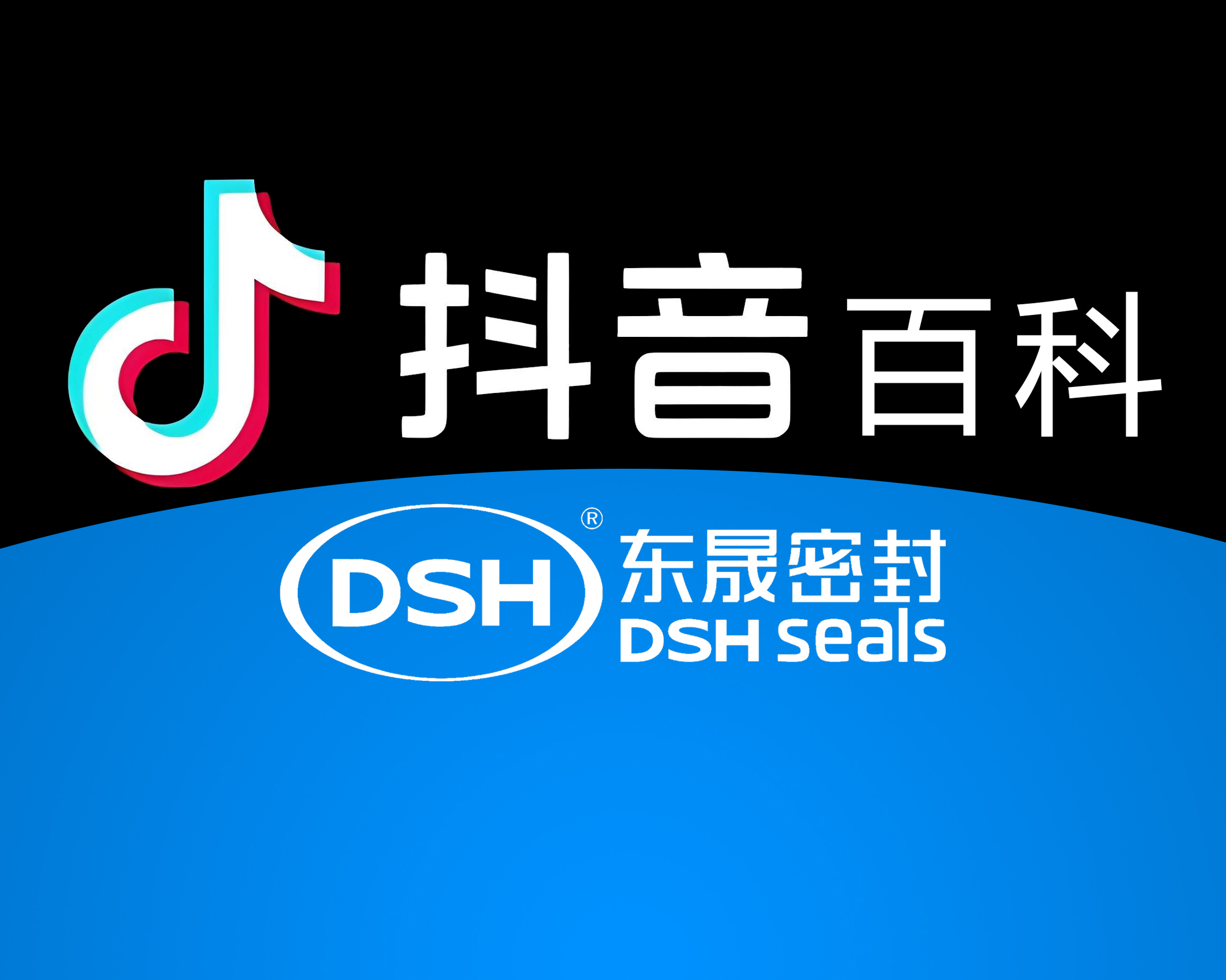 抖音百科新成員：東晟密封件官方百產(chǎn)上線！