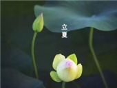 立夏已至，萬(wàn)物向陽(yáng)；